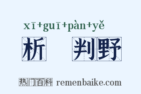 析珪判野是什么意思的图片